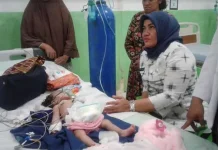 Atasi Gizi Buruk, Pemda Wakatobi Datangkan Konsultan Nutrisi Atasi Gizi Buruk, Pemda Wakatobi Datangkan Konsultan Nutrisi