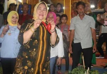 Pamerkan Aneka Olahan Cabai di Halo Sultra, Koltim Dipuji Tina Nur Alam Pamerkan Aneka Olahan Cabai di Halo Sultra, Koltim Dipuji Tina Nur Alam