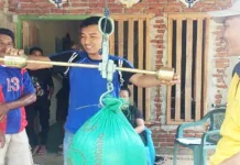 Pemkab Konut Mulai Kumpul Jagung Hibrida Hasil Panen Petani Pemkab Konut Mulai Kumpul Jagung Hibrida Hasil Panen Petani