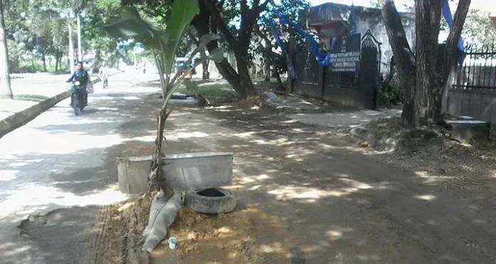 jalan_rusak_pan Berlubang dan Becek, Jalan di Depan Kantor PAN Sultra Ditanami Pohon Pisang