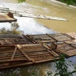 KPHP Konut Kembali Amankan Kayu Tak Bertuan KPHP Konut Kembali Amankan Kayu Tak Bertuan