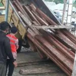 Lagi, KPHP Konut Amankan Kayu Tak Bertuan Lagi, KPHP Konut Amankan Kayu Tak Bertuan