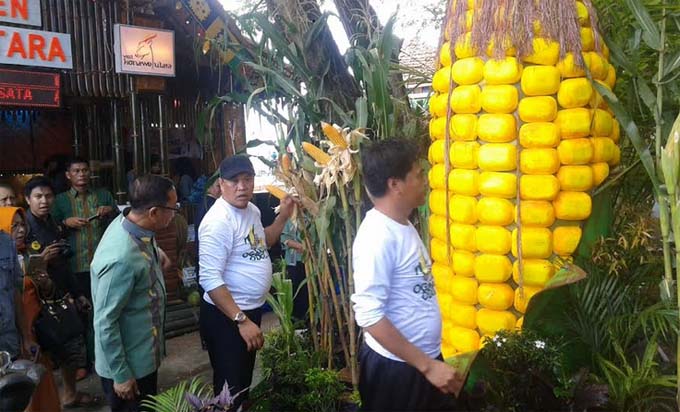 Jadi Program Unggulan, Pemkab Konut Tampilkan Jagung Hibrida di Pameran Halo Sultra