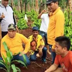 Bupati Konut Buka Lahan Jagung Pribadi Seluas 15 Hektar, Ini Tujuannya Bupati Konut Buka Lahan Jagung Pribadi Seluas 15 Hektar, Ini Tujuannya