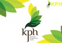 Awasi 13 Kecamatan, KPHP Konut Kekurangan Personil Kesatuan Pengelolaan Hutan Produksi (KPHP)