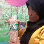 Andalkan Pangan Organik, Ini yang Membuat Butur Optimis Go Internasional Andalkan Pangan Organik, Ini yang Membuat Butur Optimis Go Internasional