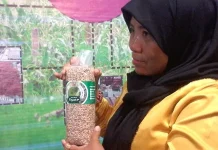 Andalkan Pangan Organik, Ini yang Membuat Butur Optimis Go Internasional Andalkan Pangan Organik, Ini yang Membuat Butur Optimis Go Internasional