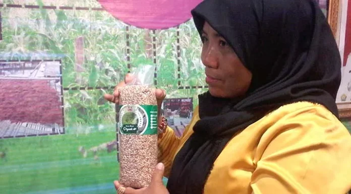 Andalkan Pangan Organik, Ini yang Membuat Butur Optimis Go Internasional