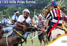 Parade 1.001 Kuda Pulau Sumba Siap Guncang Dunia Parade 1.001 Kuda Pulau Sumba Siap Guncang Dunia