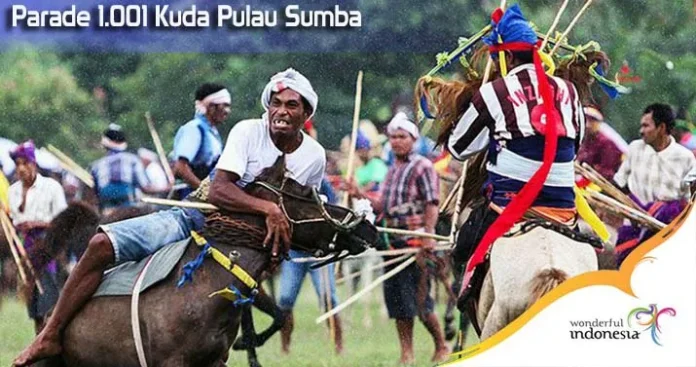Parade 1.001 Kuda Pulau Sumba Siap Guncang Dunia