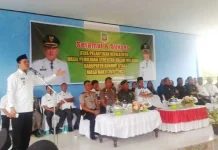 2017 Konut Target 10 Ribu Hektar Untuk Penanaman Jagung Hibrida Konasara 2017 Konut Target 10 Ribu Hektar Untuk Penanaman Jagung Hibrida Konasara