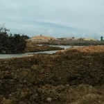 Warga Konsel Keluhkan Bau Busuk Limbah Pabrik Tepung Tapioka Warga Konsel Keluhkan Bau Busuk Limbah Pabrik Tepung Tapioka