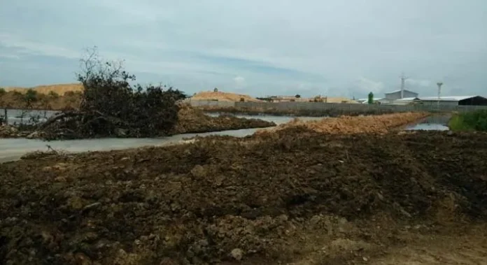 Warga Konsel Keluhkan Bau Busuk Limbah Pabrik Tepung Tapioka