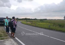 Ingin Merasakan Sensasi Keindahan Padang Savana, Yuk ke Taman Nasional Rawa Aopa Ingin Merasakan Sensasi Keindahan Padang Savana, Yuk ke Taman Nasional Rawa Aopa