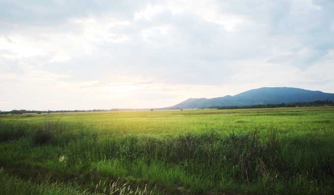 Ingin Merasakan Sensasi Keindahan Padang Savana, Yuk ke Taman Nasional Rawa Aopa