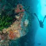 Jurus Fam Trip Bakal Goda Diving Operator dan Media Malaysia dan Singapura Jurus Fam Trip Bakal Goda Diving Operator dan Media Malaysia dan Singapura