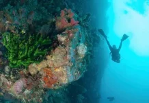 Jurus Fam Trip Bakal Goda Diving Operator dan Media Malaysia dan Singapura Jurus Fam Trip Bakal Goda Diving Operator dan Media Malaysia dan Singapura