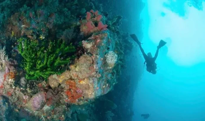 Jurus Fam Trip Bakal Goda Diving Operator dan Media Malaysia dan Singapura