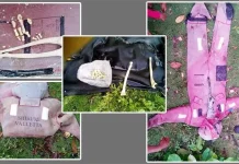 Nelayan Tomia Temukan Tulang Manusia di Pantai Nelayan Tomia Temukan Tulang Manusia di Pantai