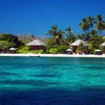 Kemenpar Unjuk Kekayaan Bahari di Marine Diving Fair Tokyo Taman Nasional Wakatobi (Google Images)