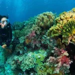 5 Hal Ini Bisa Hambat Pengembangan Wisata Wakatobi