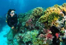 5 Hal Ini Bisa Hambat Pengembangan Wisata Wakatobi