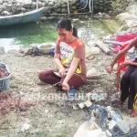 Mengenal Derawa, Desa Penghasil Rumput Laut di Wakatobi Mengenal Derawa, Desa Penghasil Rumput Laut di Wakatobi