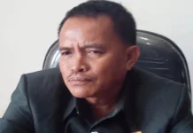 Politikus Hanura Harap Safei Gandeng Asmani di Pilkada Kolaka Politikus Partai Hanura Hasbi Mustafa Kolaka