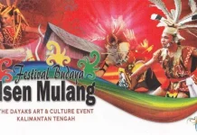 Festival Budaya Isen Mulang (FBIM) 2017 Festival Budaya Isen Mulang (FBIM) 2017
