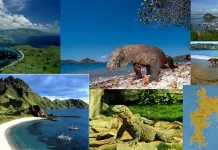 Beginilah Jurus Kemenpar Menggenjot Pariwisata NTT WIsata Pulau Komodo (Google Images)