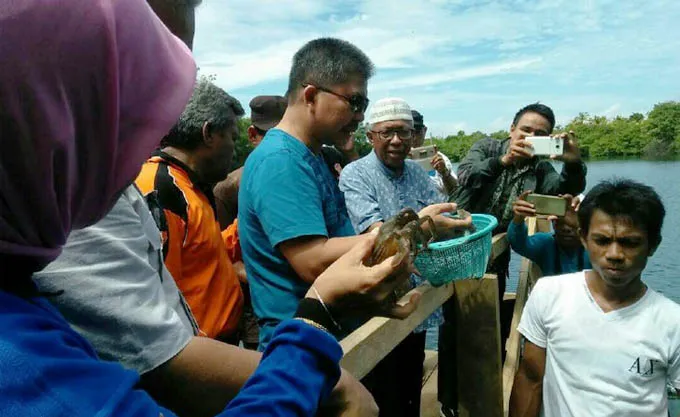 abu_hasan_kepiting Bupati Butur Apresiasi Pengembangan Kepiting Soka di Dinas Perikanan