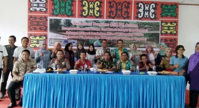 Antam Kembangkan Program CSR Agroforestry