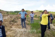 Gempita Gandeng Bank Sultra Modali Petani Jagung Gempita Gandeng Bank Sultra Modali Petani Jagung
