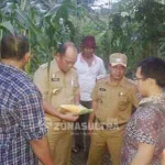 Ruksamin Janji Beri Reward Rp 100 Juta SKPD yang Berhasil Tanam Jagung Hibrida Ruksamin Janji Beri Reward Rp 100 Juta SKPD yang Berhasil Tanam Jagung Hibrida
