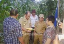 Ruksamin Janji Beri Reward Rp 100 Juta SKPD yang Berhasil Tanam Jagung Hibrida Ruksamin Janji Beri Reward Rp 100 Juta SKPD yang Berhasil Tanam Jagung Hibrida