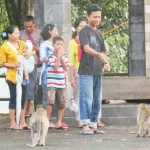 Pingin Selfie dengan Ratusan Kera? Ayo Wisata ke Goa Kreo Semarang Pingin Selfie dengan Ratusan Kera? Ayo Wisata ke Goa Kreo Semarang