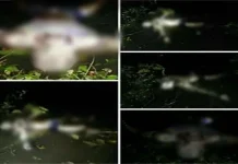 Mayat Pria Tanpa Identitas Ditemukan Membusuk di Bendungan Wawonggole Mayat Pria Tanpa Identitas Ditemukan Membusuk di Bendungan Wawonggole