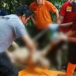 Mayat Perempuan Tanpa Busana Ditemukan di Pinggiran Kali Wanggu Mayat Perempuan Tanpa Busana Ditemukan di Pinggiran Kali Wanggu