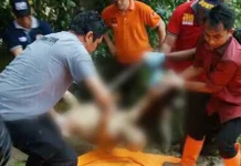 Mayat Perempuan Tanpa Busana Ditemukan di Pinggiran Kali Wanggu Mayat Perempuan Tanpa Busana Ditemukan di Pinggiran Kali Wanggu