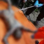 Inilah Hasil Otopsi Jasad Perempuan Tanpa Busana yang Ditemukan di Kali Wanggu Inilah Hasil Otopsi Jasad Perempuan Tanpa Busana yang Ditemukan di Kali Wanggu