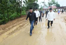 Nur Alam Instruksikan Bina Marga Segera Tangani Luapan Air di Mubar Nur Alam Instruksikan Bina Marga Segera Tangani Luapan Air di Mubar