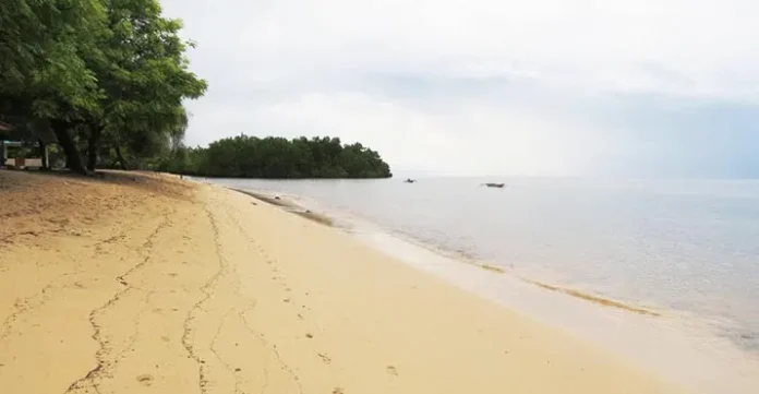 pasir_putih_atapupu Jadi Prioritas Pemkab, Atambua Gelar Music On Vacation di Pasir Putih Atapupu