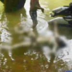 Lima Hari Hanyut di Sungai Landawe Konut, Korban Ditemukan Tak Bernyawa Lima Hari Hanyut di Sungai Landawe Konut, Korban Ditemukan Tak Bernyawa