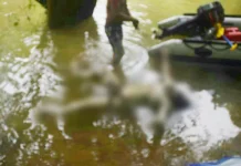 Lima Hari Hanyut di Sungai Landawe Konut, Korban Ditemukan Tak Bernyawa Lima Hari Hanyut di Sungai Landawe Konut, Korban Ditemukan Tak Bernyawa