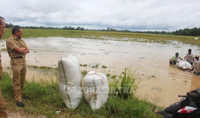 Tiga Kecamatan di Koltim Terendam Banjir