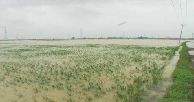 banjir_ilustrasi Hujan Selama Sebulan, 154 Hektar Lahan Pertanian di Mubar Terendam Banjir