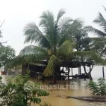 Lima Kecamatan di Konut Siaga Banjir Banjir, Puluhan Hektar Sawah dan Tambak di Konut Gagal Panen