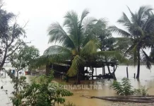 Lima Kecamatan di Konut Siaga Banjir Banjir, Puluhan Hektar Sawah dan Tambak di Konut Gagal Panen
