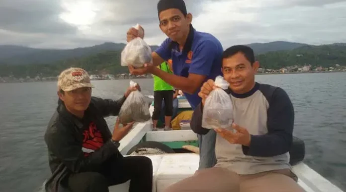 bkipm_sultra BKIPM Gagalkan Aksi Penyeludupan Terumbu Karang ke Makassar