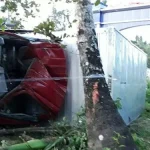 Diduga Supir Mengantuk, Truk Box Terbalik dan Menabrak Pohon Kelapa Diduga Supir Mengantuk, Truk Box Terbalik dan Menabrak Pohon Kelapa